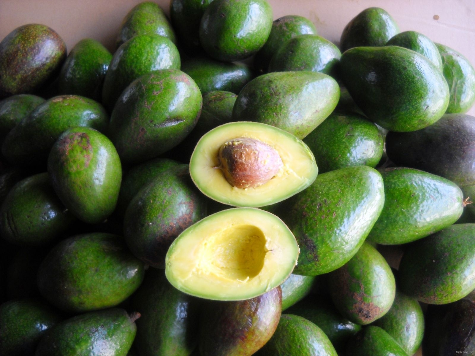 Dac san Dak Lak anh 7