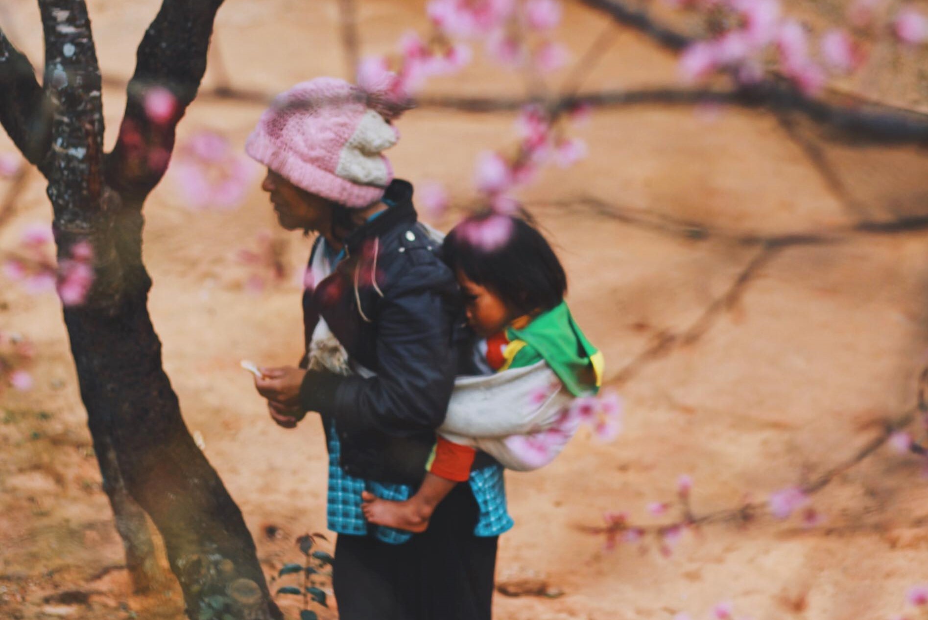 Roi noi thanh, ghe ngoai o Da Lat ngam mai anh dao cuoi mua no ruc hinh anh