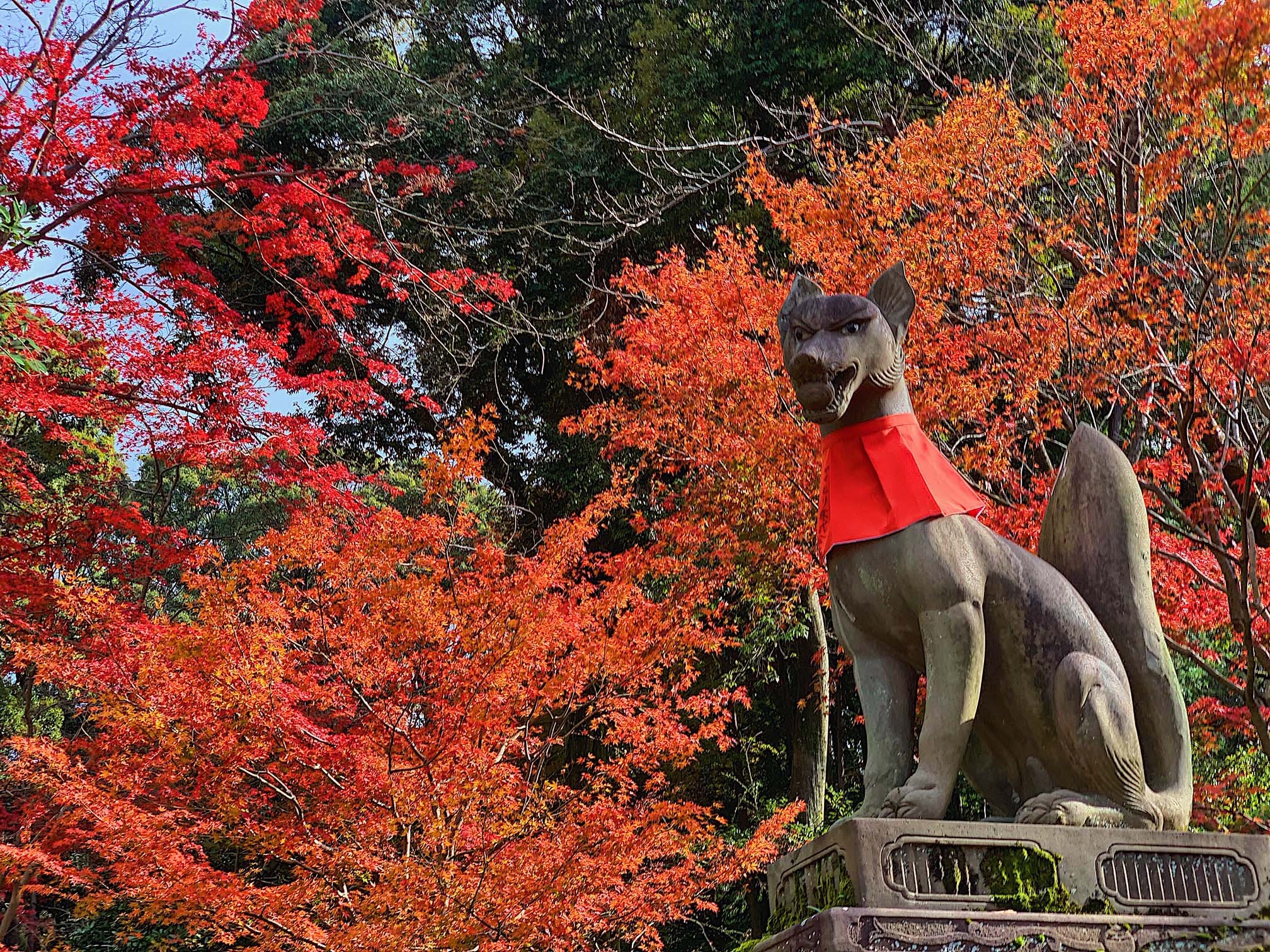 Du lich Nhat Ban anh 8