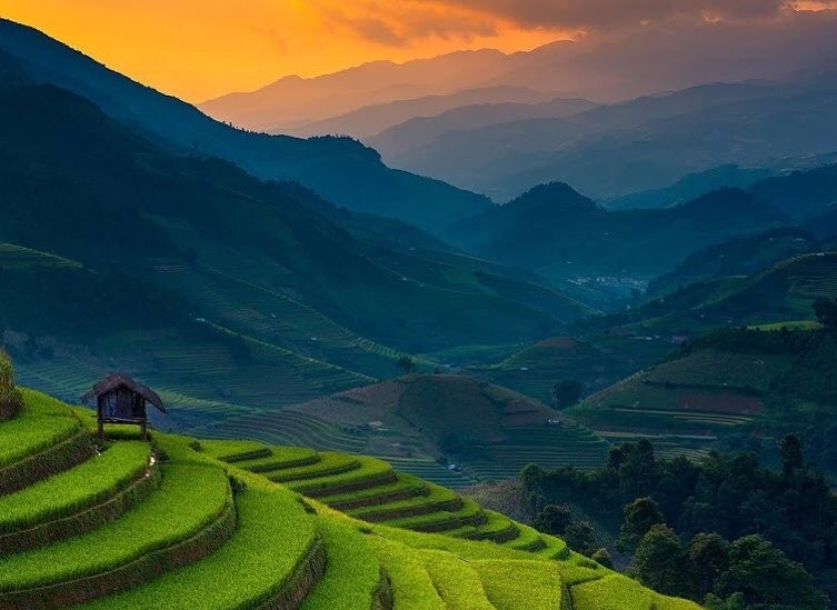 Món ăn ngon ảnh 2 Mon an ngon anh 2