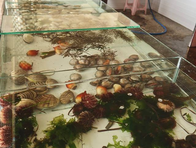 Am thuc Trieu Tien anh 9