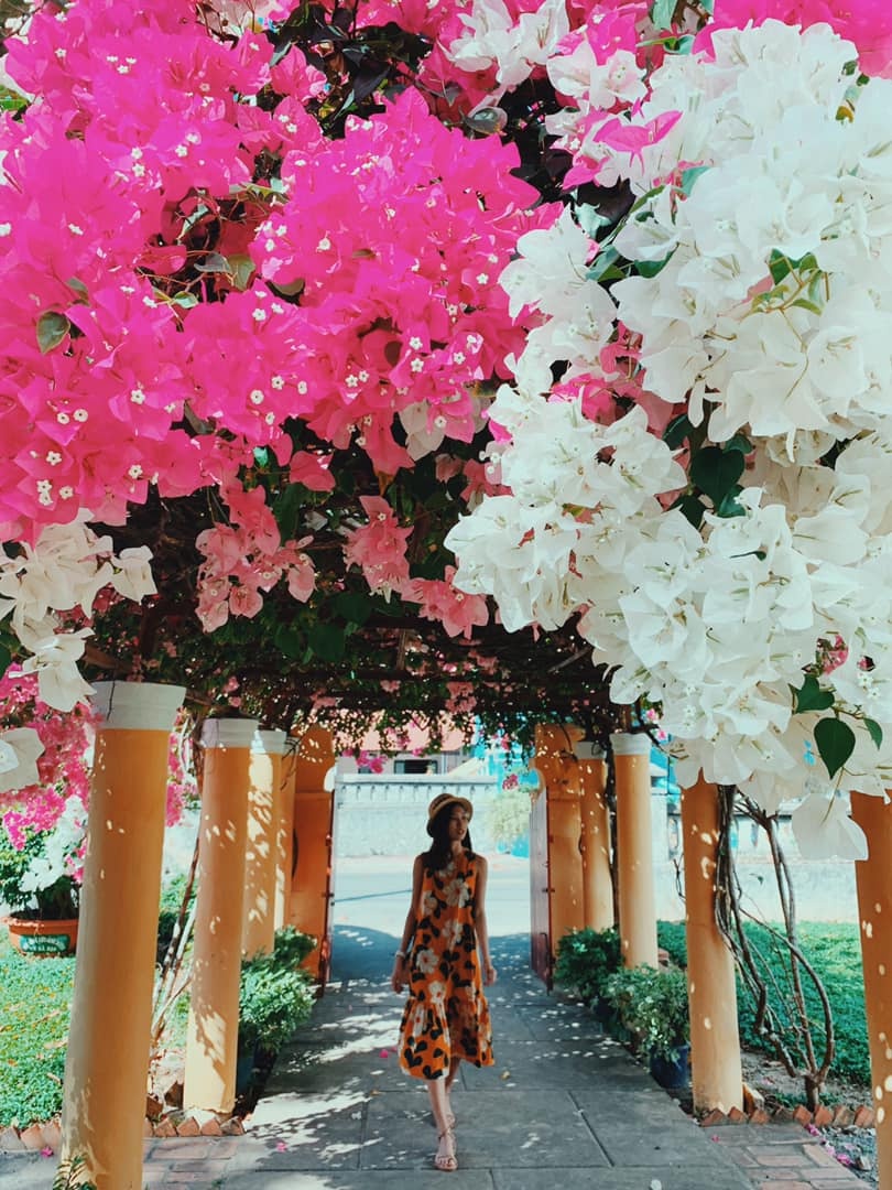 Du lich Vung Tau anh 17