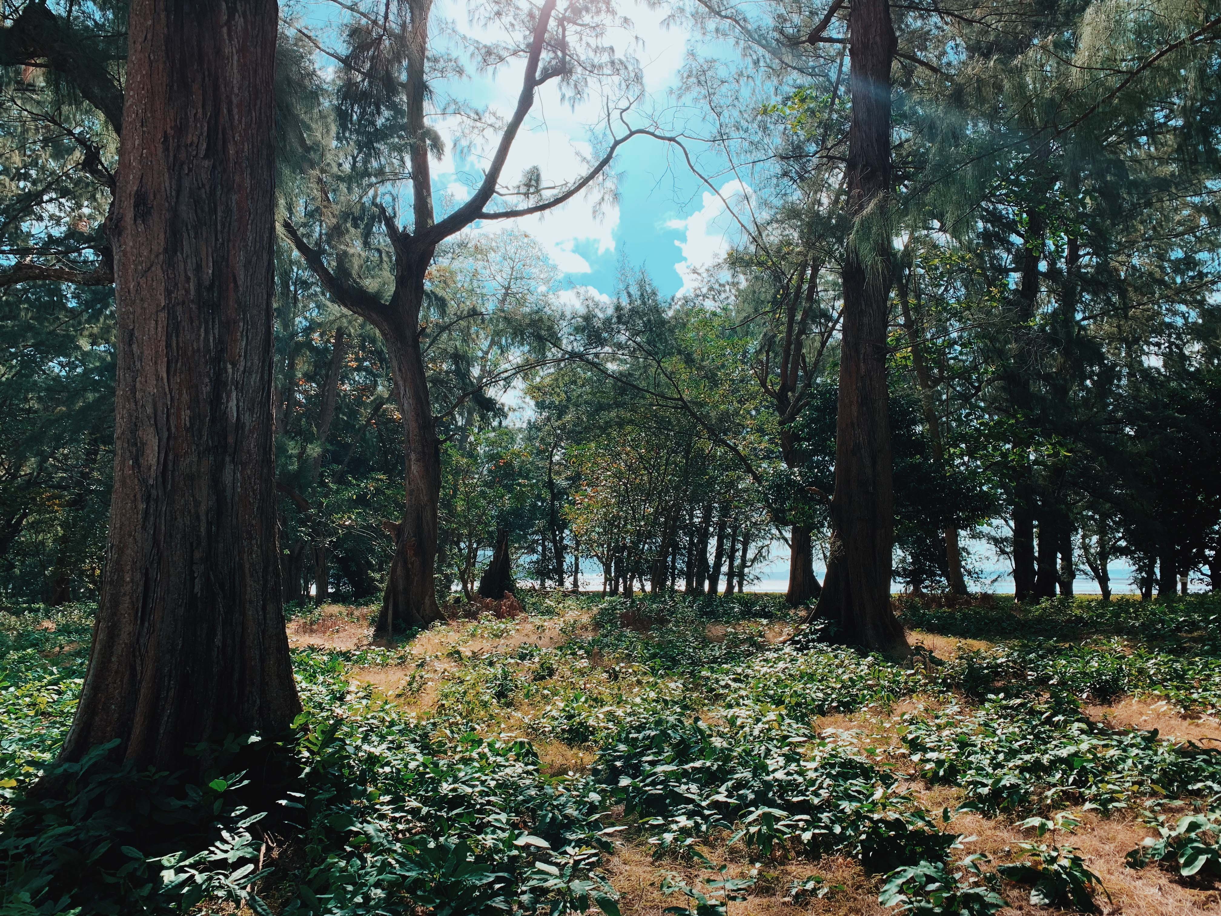 Du lich Vung Tau anh 14