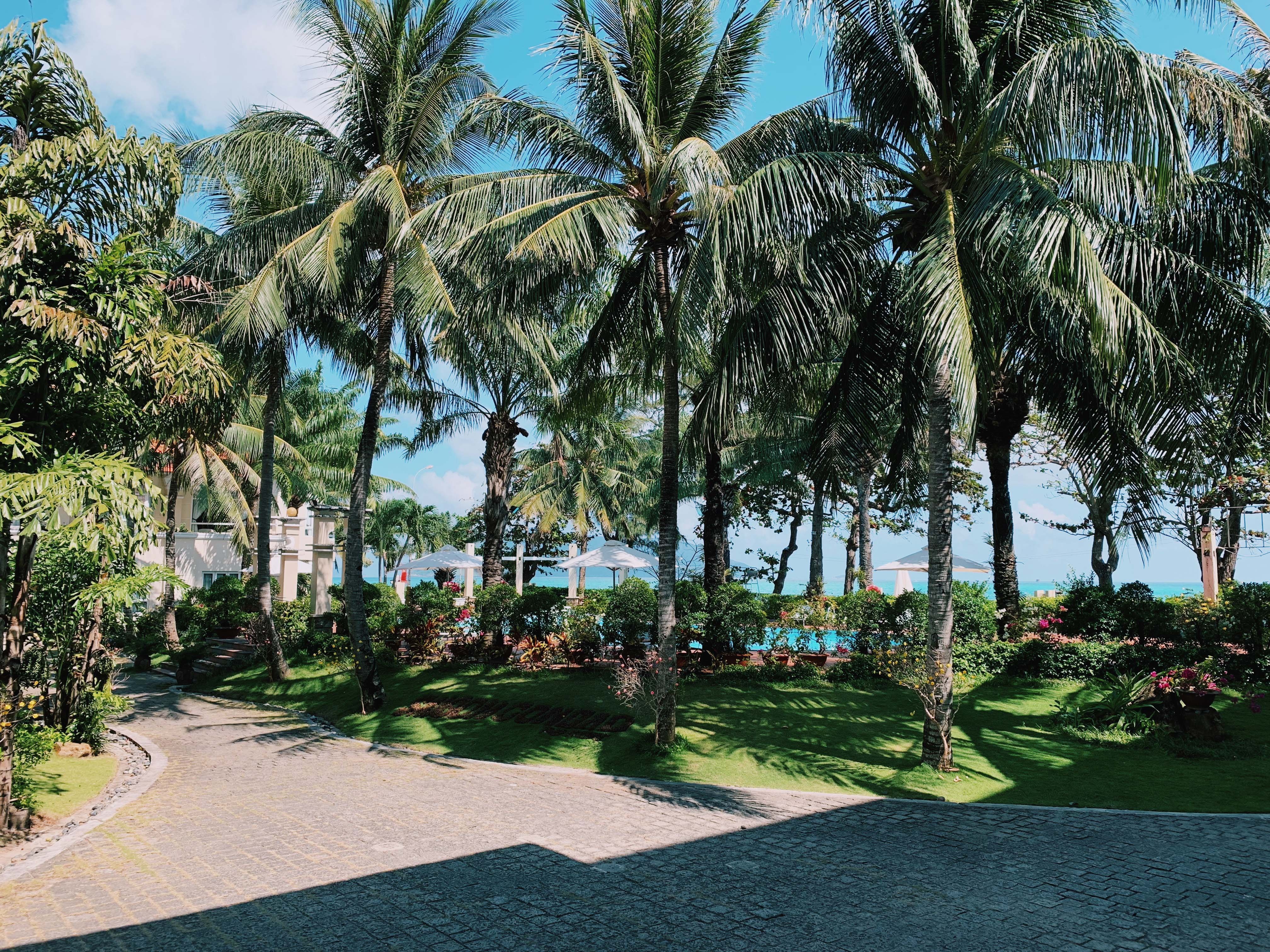 Du lich Vung Tau anh 12