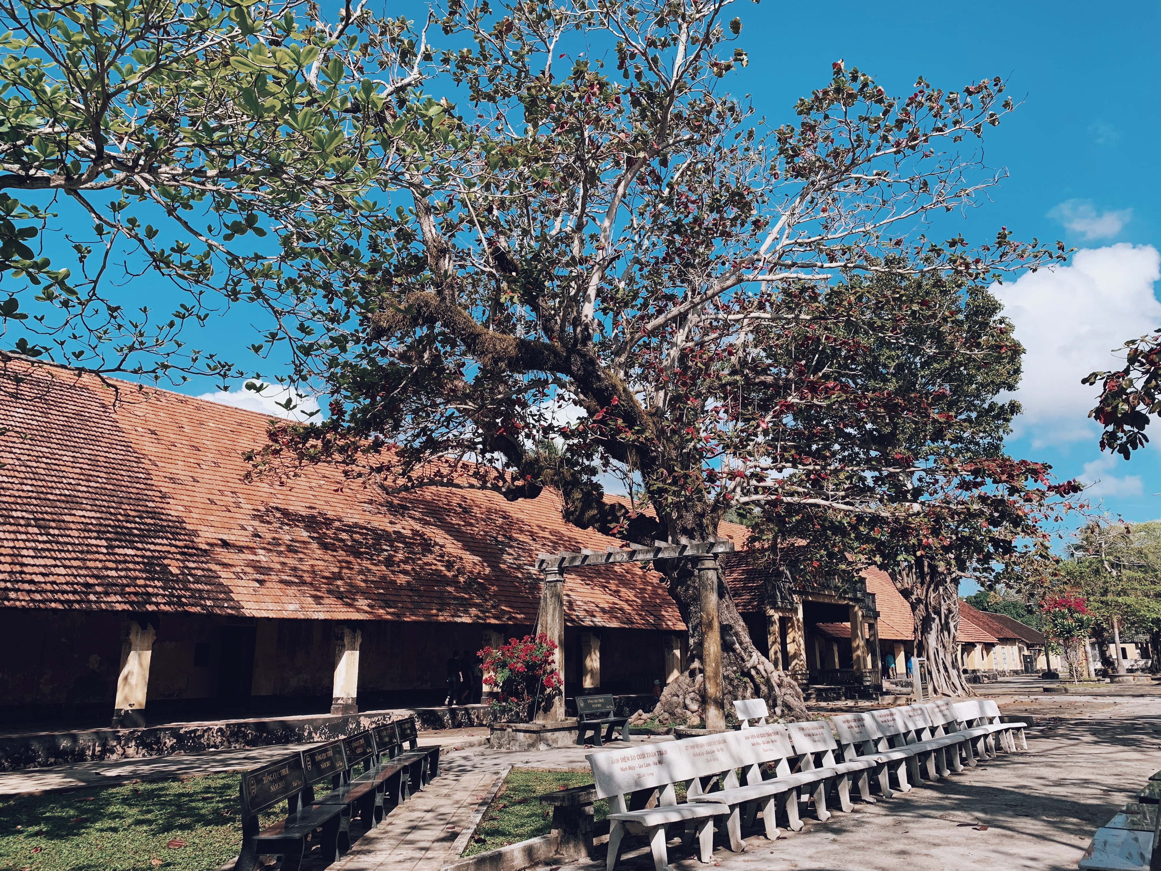 Du lich Vung Tau anh 7