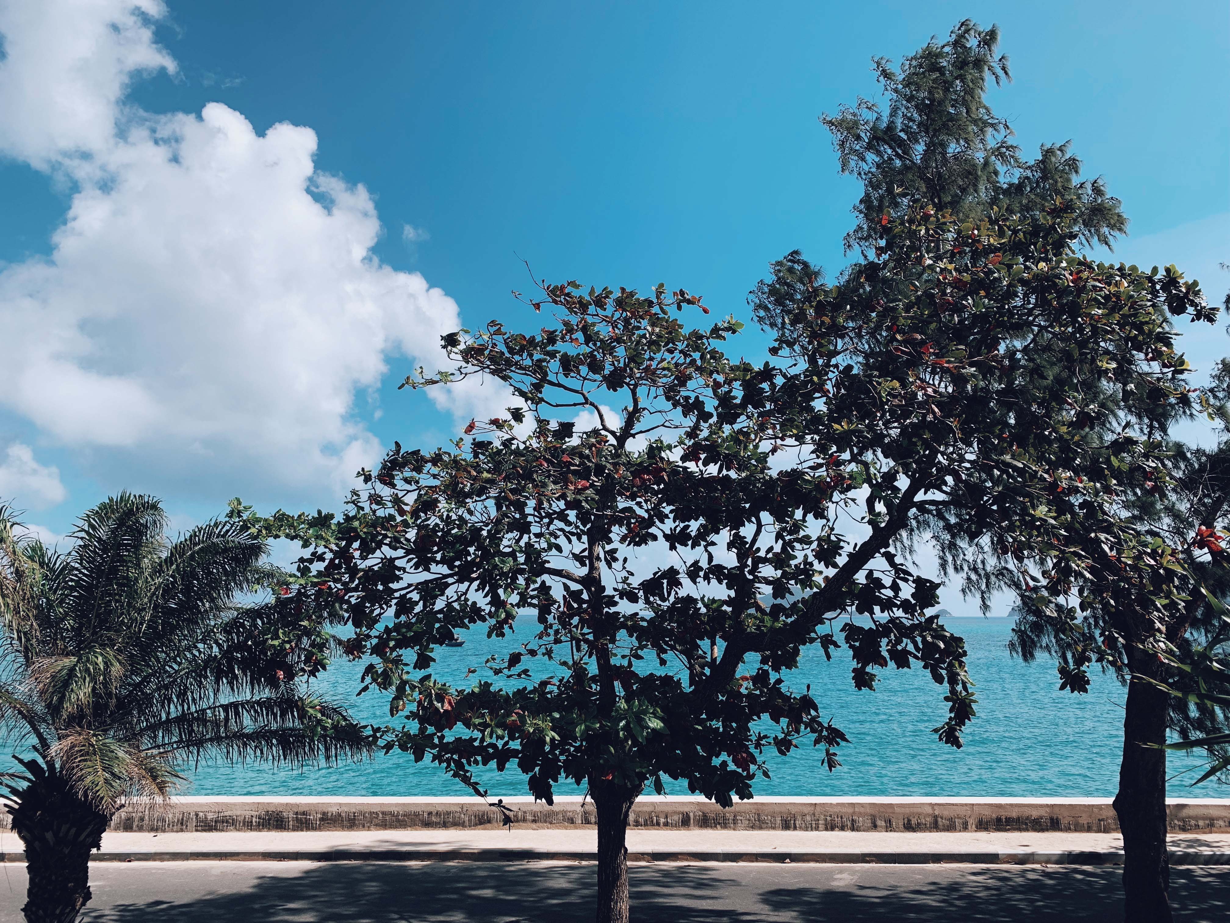 Du lich Vung Tau anh 15