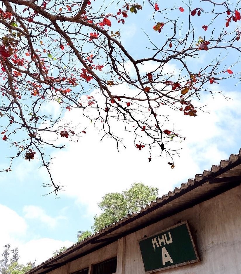 Du lich Vung Tau anh 9