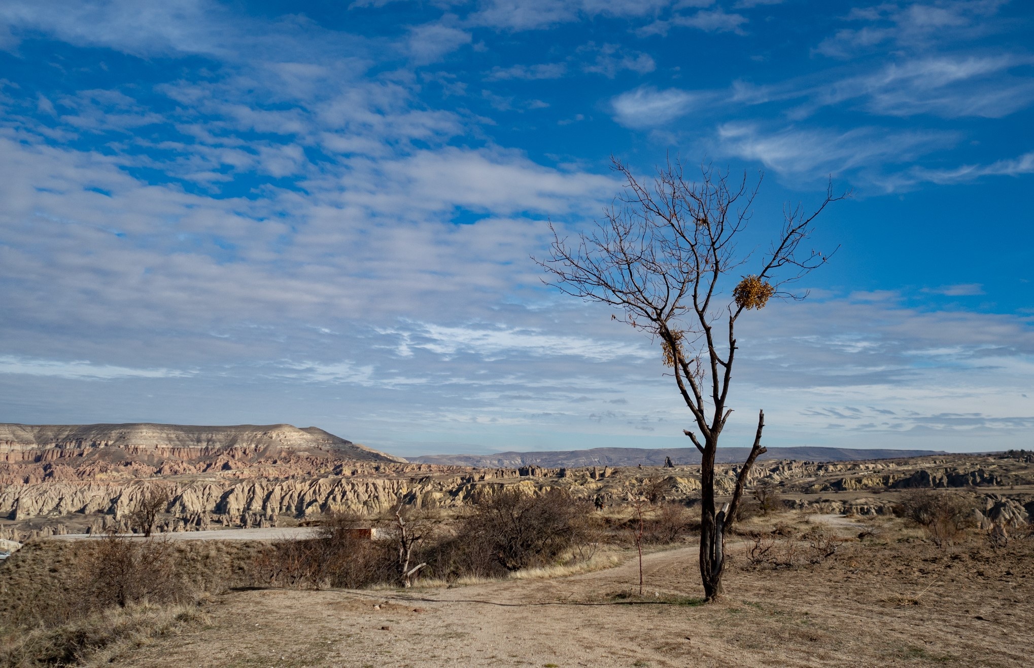 Du lich Tho Nhi Ky anh 24