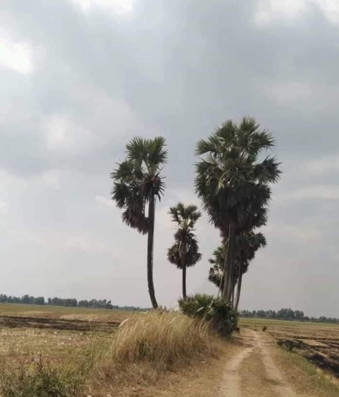 Dia diem du lich anh 8