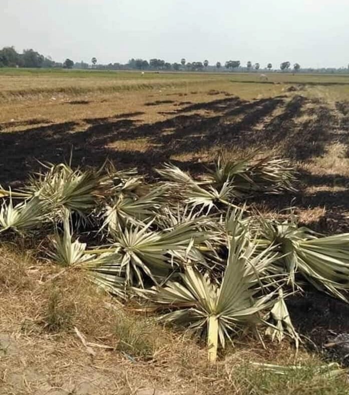 Dia diem du lich anh 9