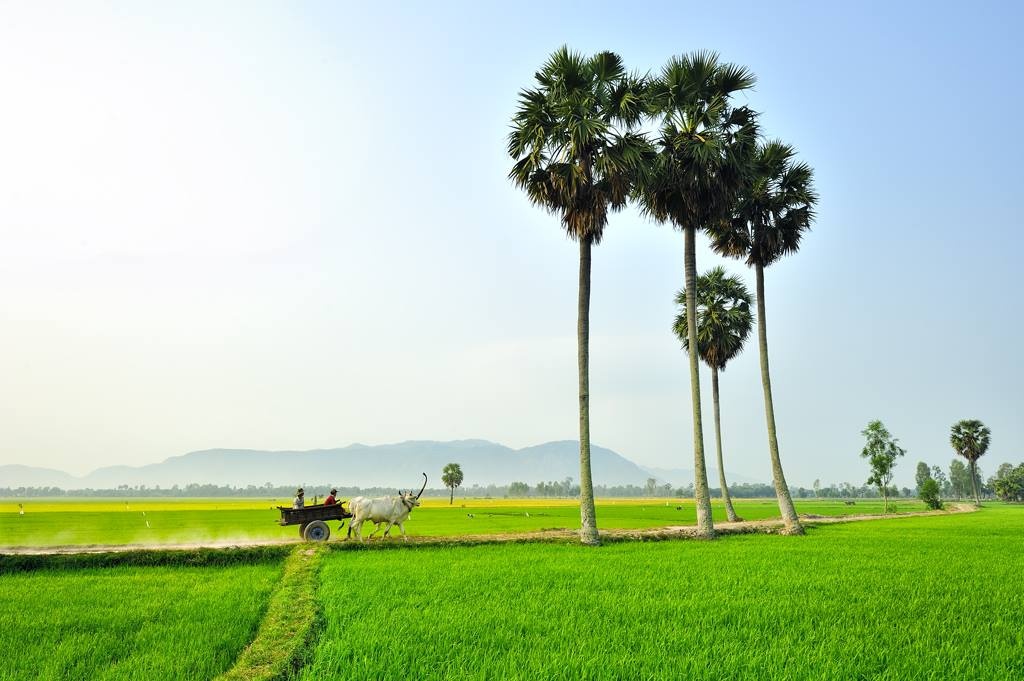 Du lich An Giang anh 32