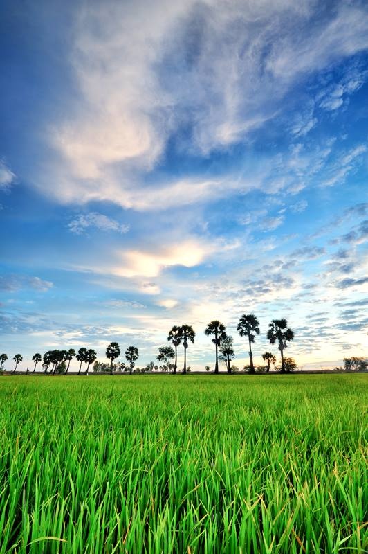 Du lich An Giang anh 9