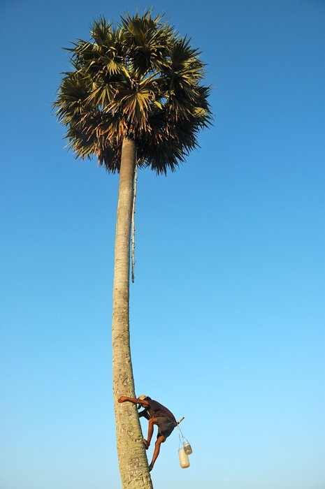 Du lich An Giang anh 18