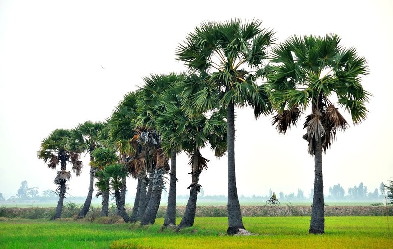 Du lich An Giang anh 14