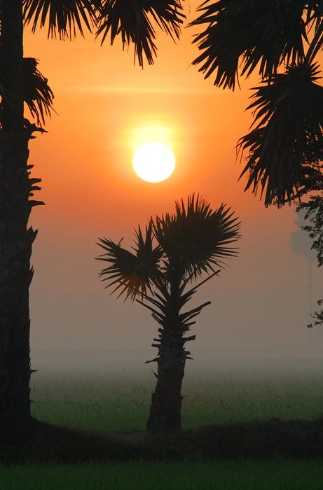 Du lich An Giang anh 5