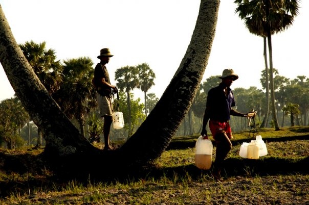 Du lich An Giang anh 35