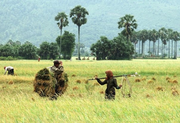 Du lich An Giang anh 36