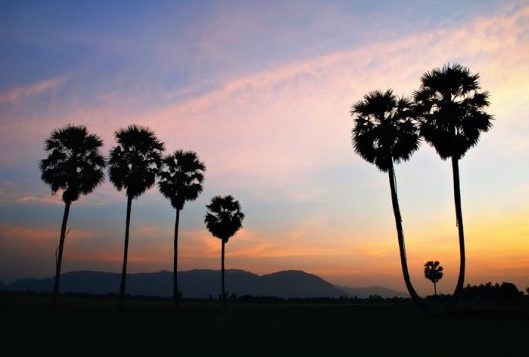 Du lich An Giang anh 15