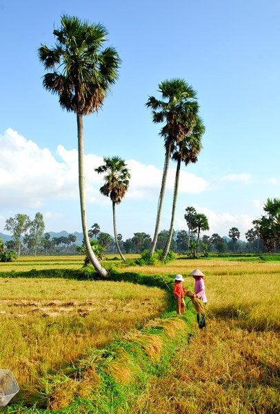 Du lich An Giang anh 22