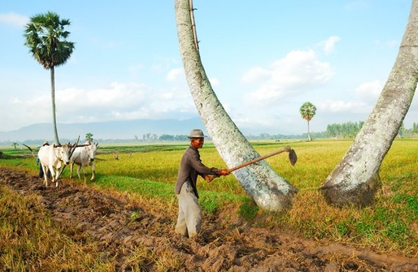 Du lich An Giang anh 31