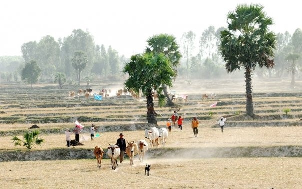 Du lich An Giang anh 16