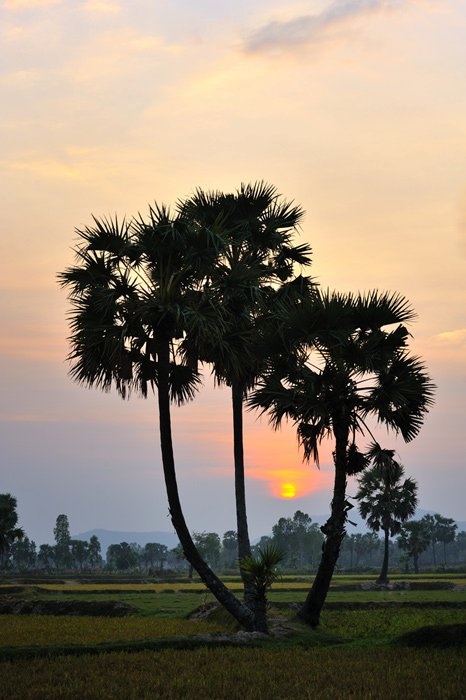 Du lich An Giang anh 7