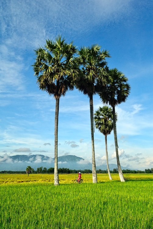 Du lich An Giang anh 10