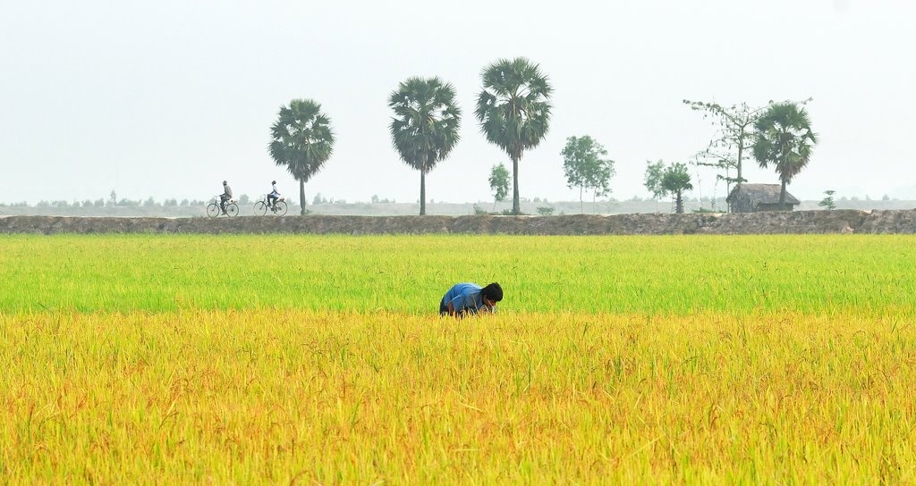 Du lich An Giang anh 26