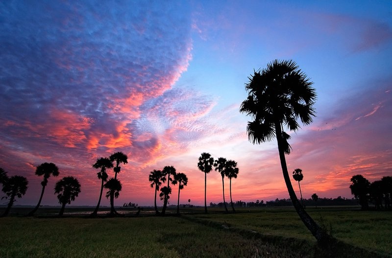 Du lich An Giang anh 4