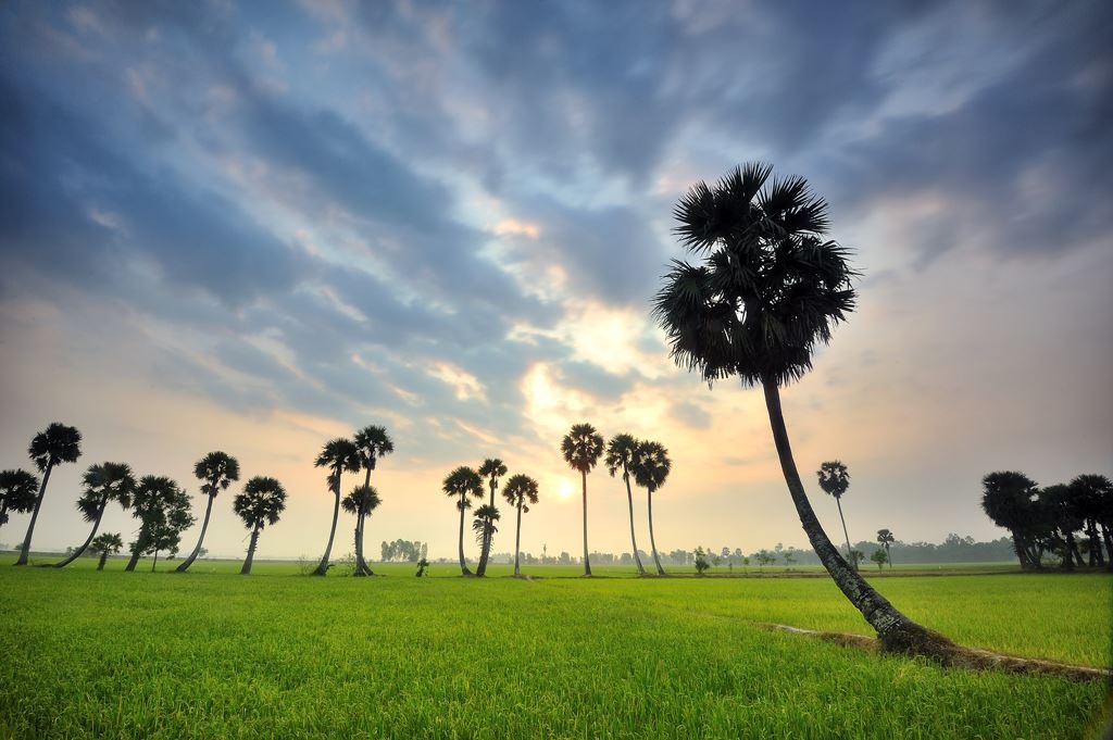 Du lich An Giang anh 12