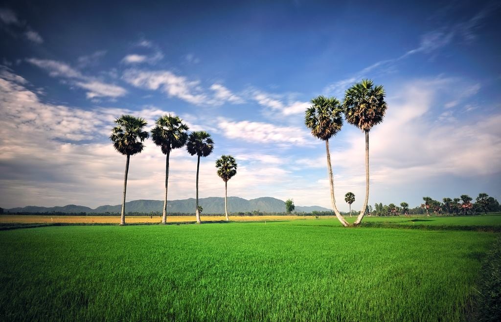 Du lich An Giang anh 13