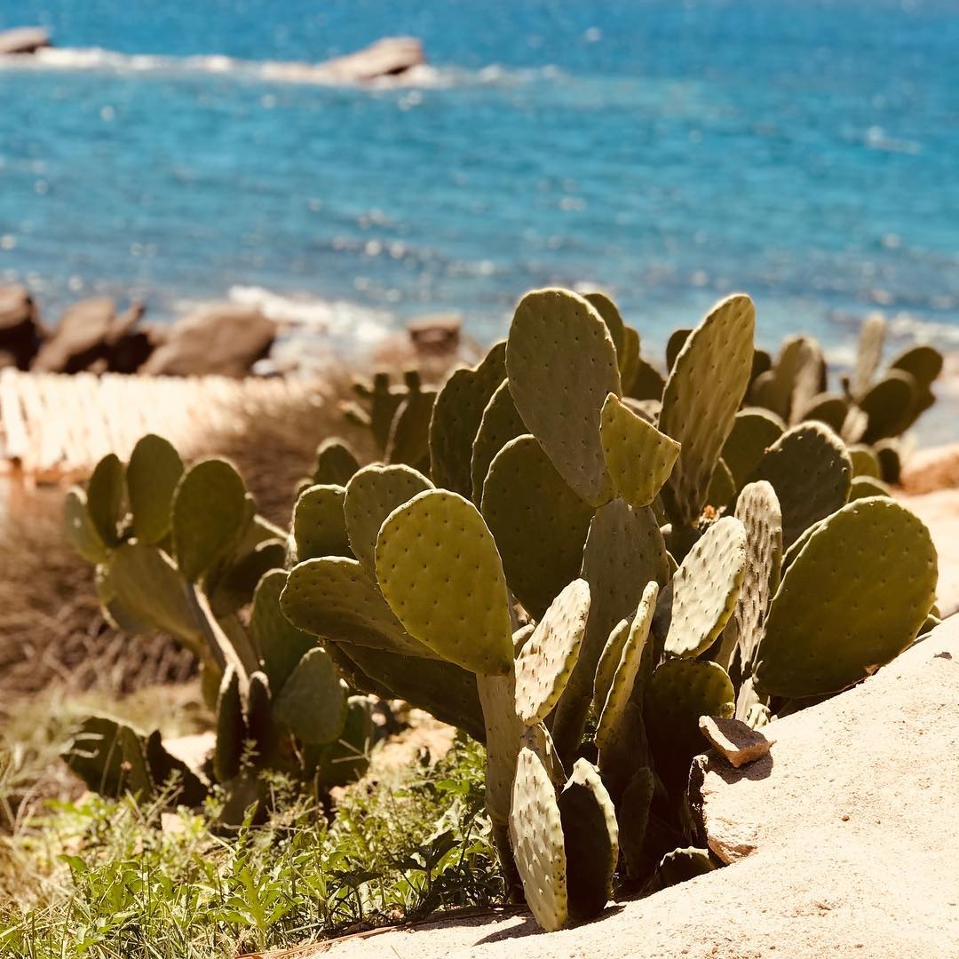 Du lich Hy Lap anh 6