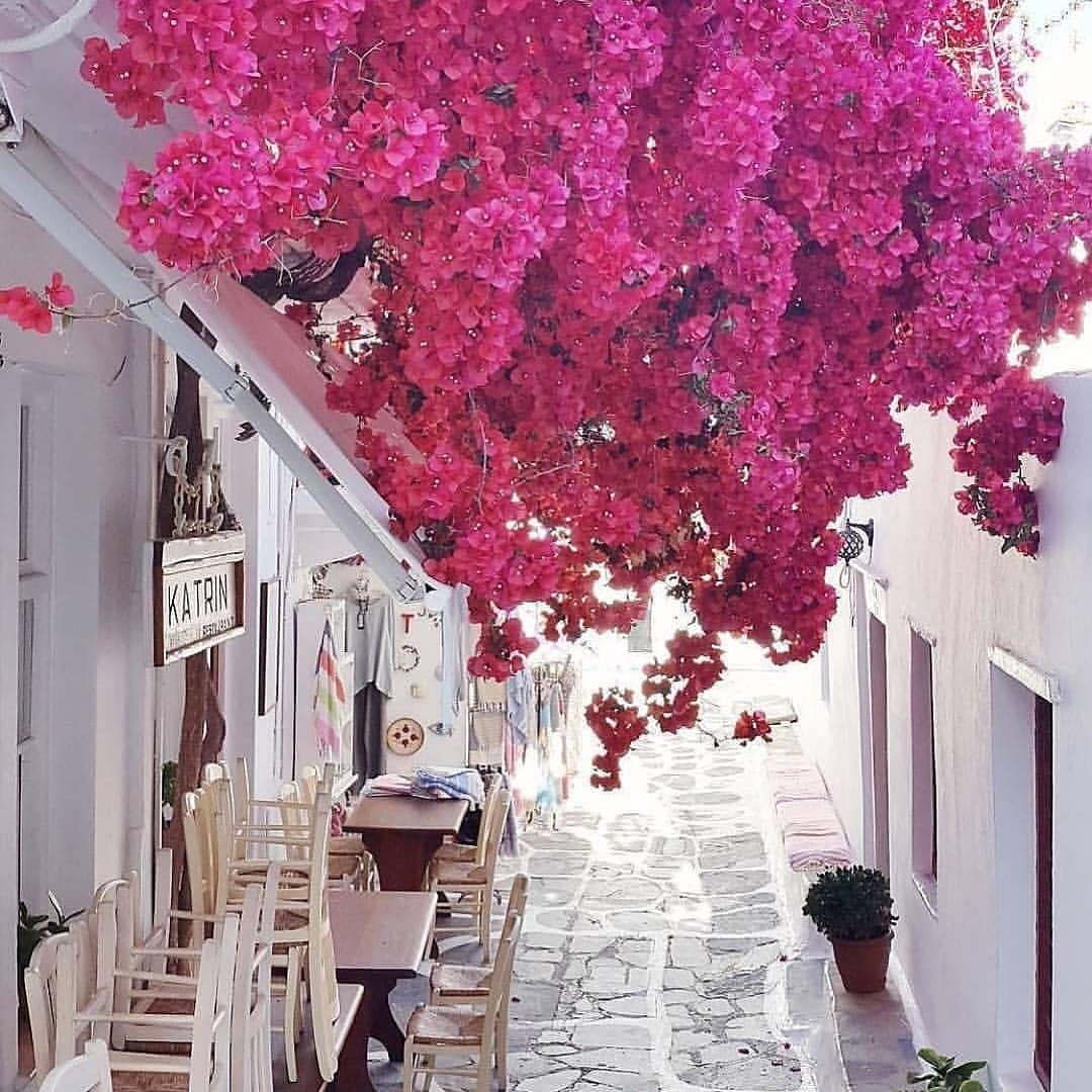 Du lich Hy Lap anh 9