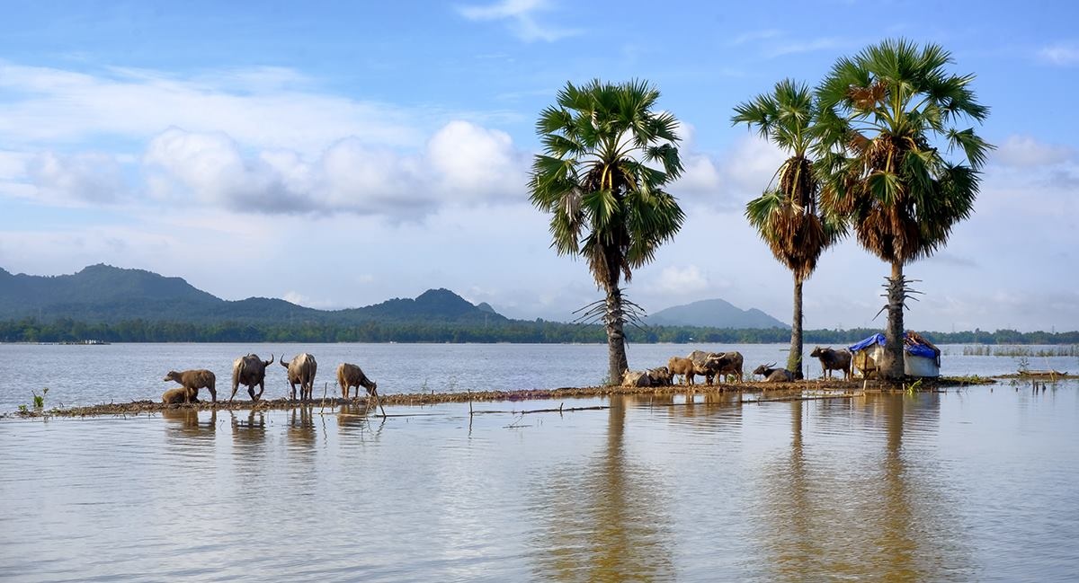 Du lich An Giang anh 11
