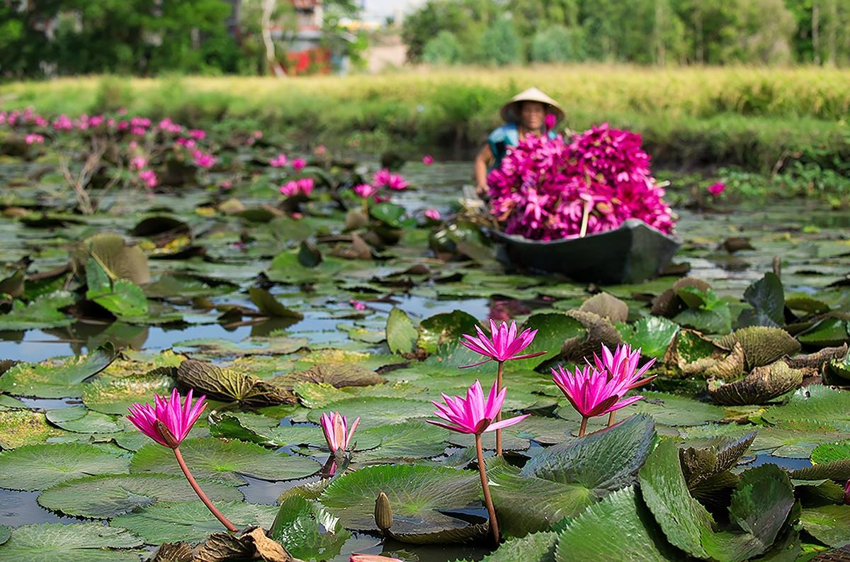 Du lich An Giang anh 30