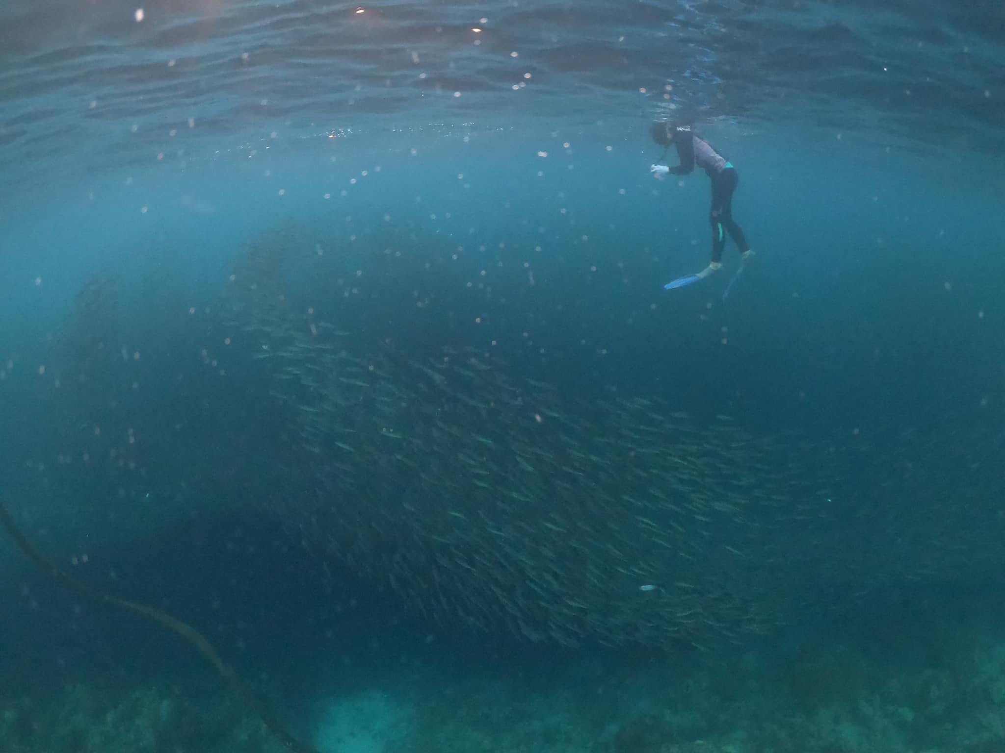 Du lich Philippines anh 19