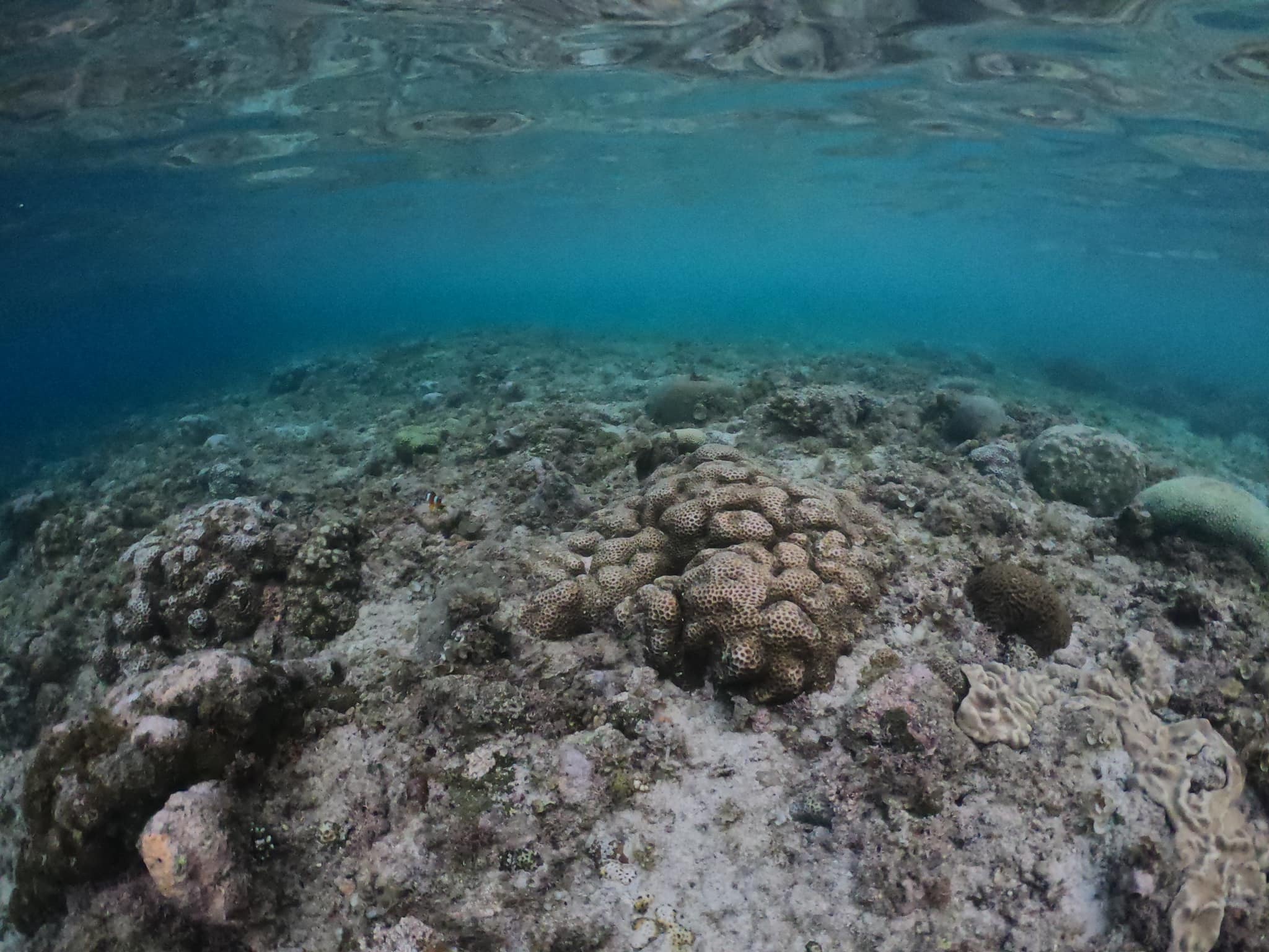 Du lich Philippines anh 2