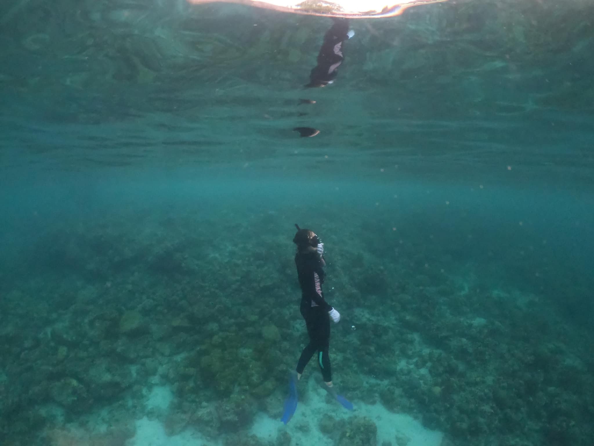 Du lich Philippines anh 21