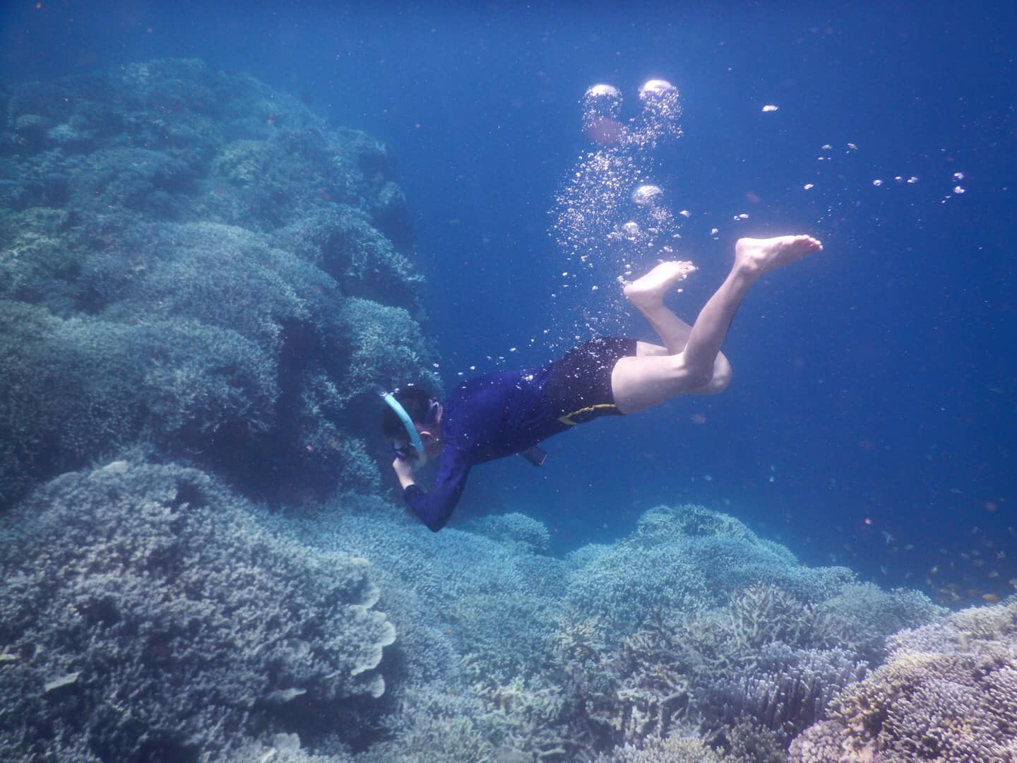 Du lich Philippines anh 23