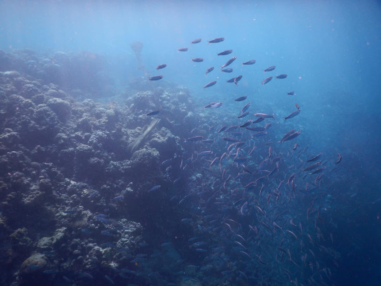 Du lich Philippines anh 9