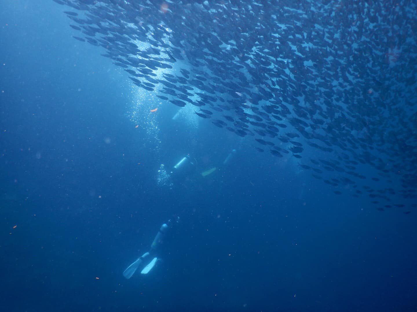 Du lich Philippines anh 5