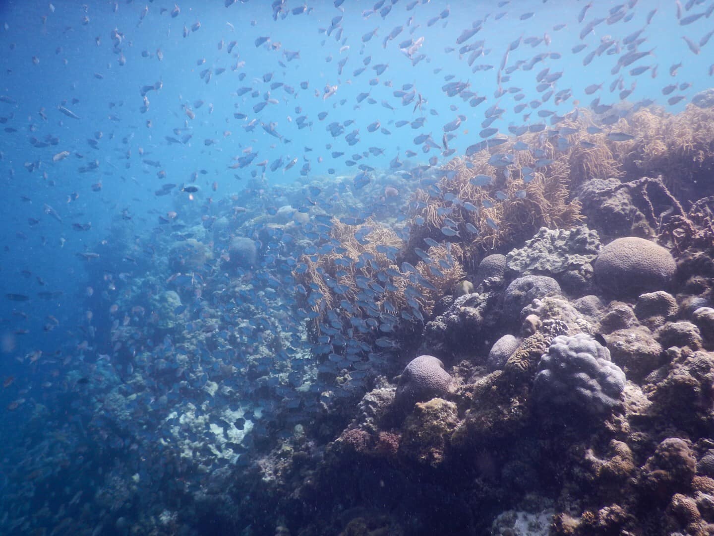 Du lich Philippines anh 13