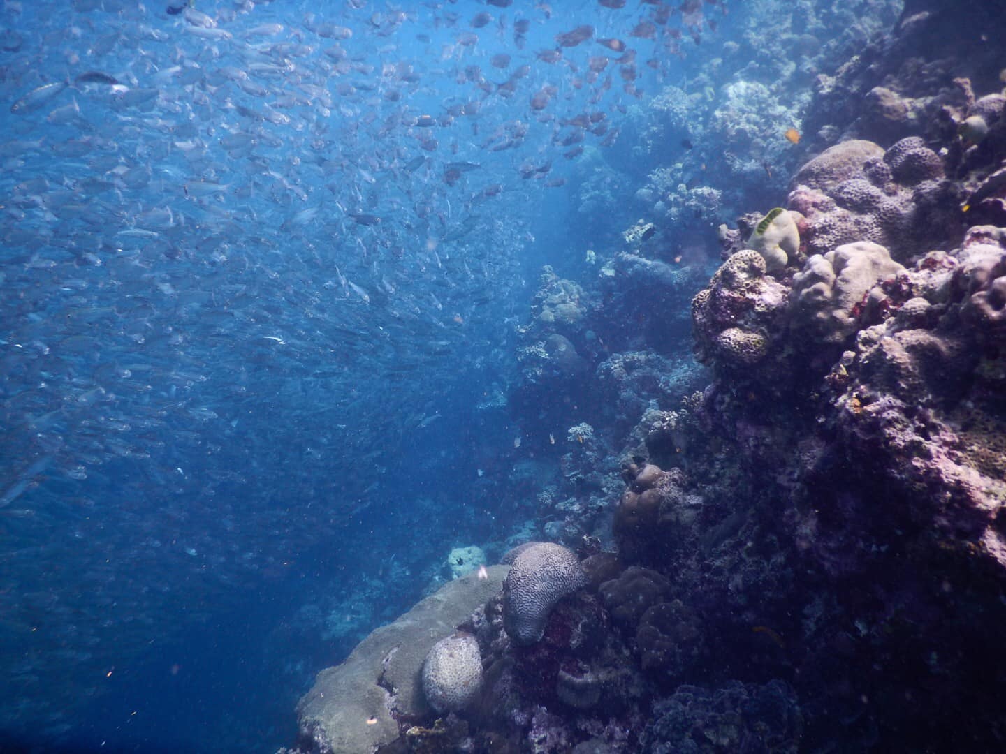 Du lich Philippines anh 7