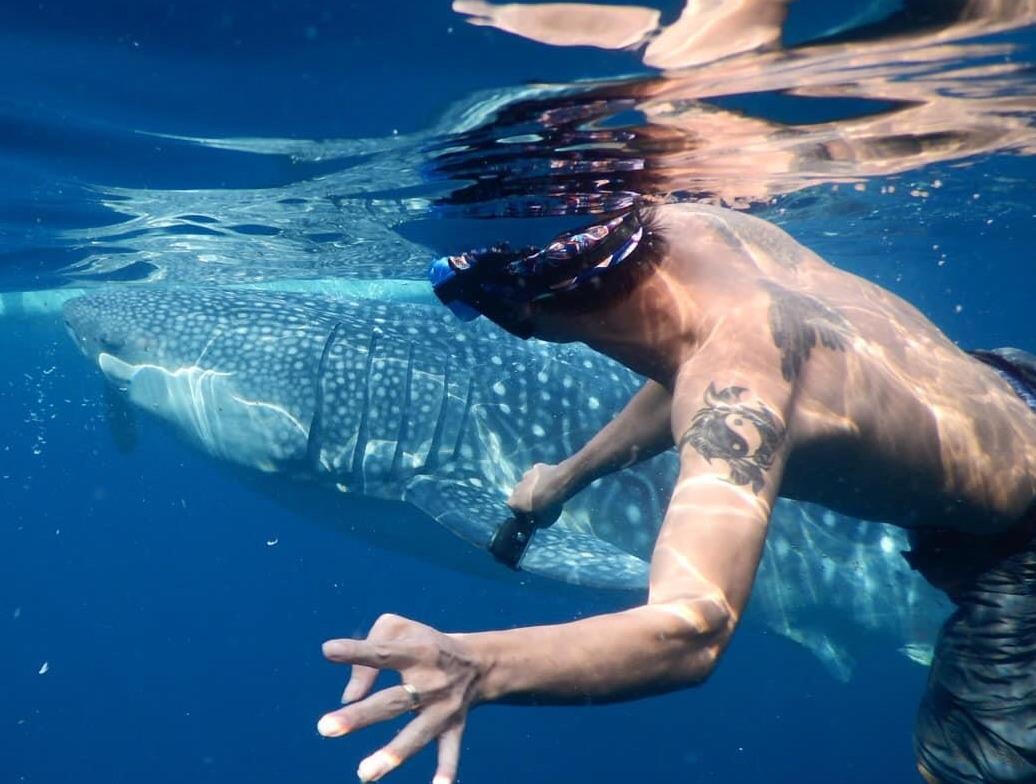 Lung tran, lan bien ngam ca map voi dai 5 m o Philippines hinh anh