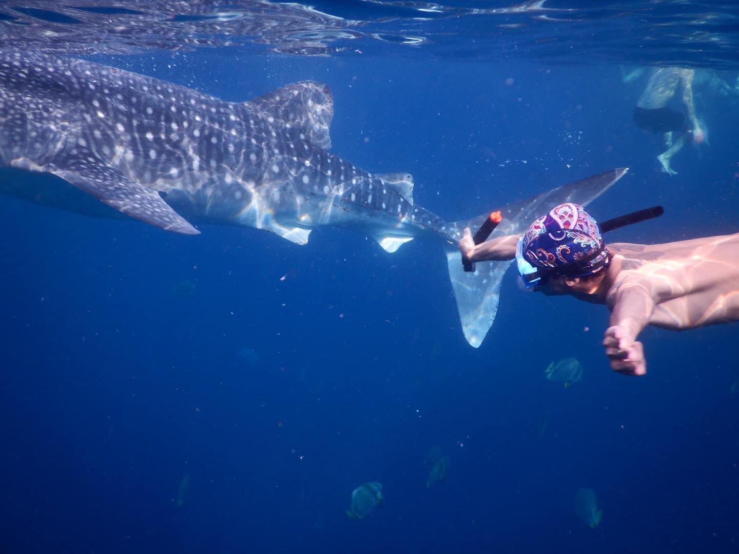 Du lich Philippines anh 4