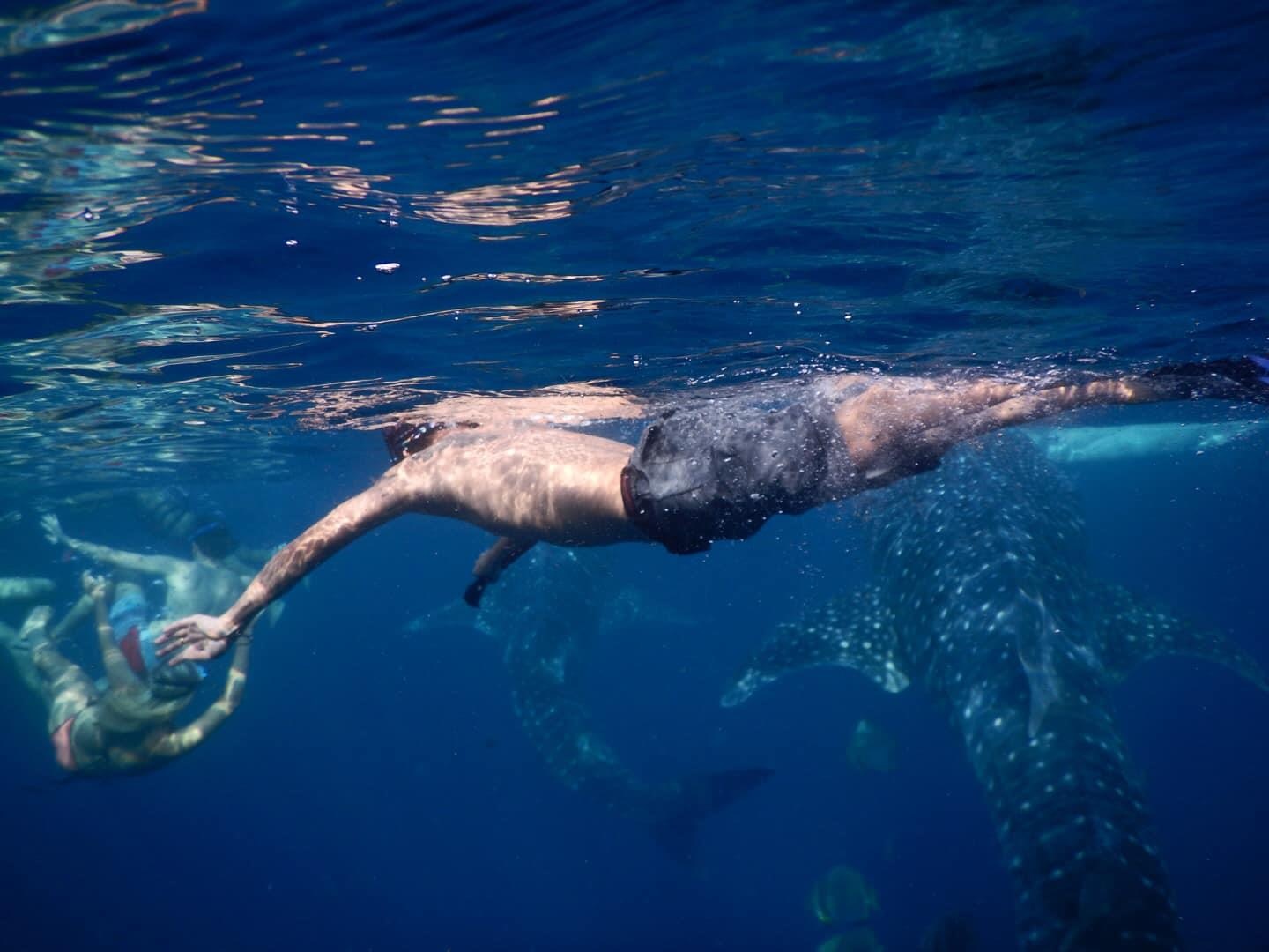 Du lich Philippines anh 5