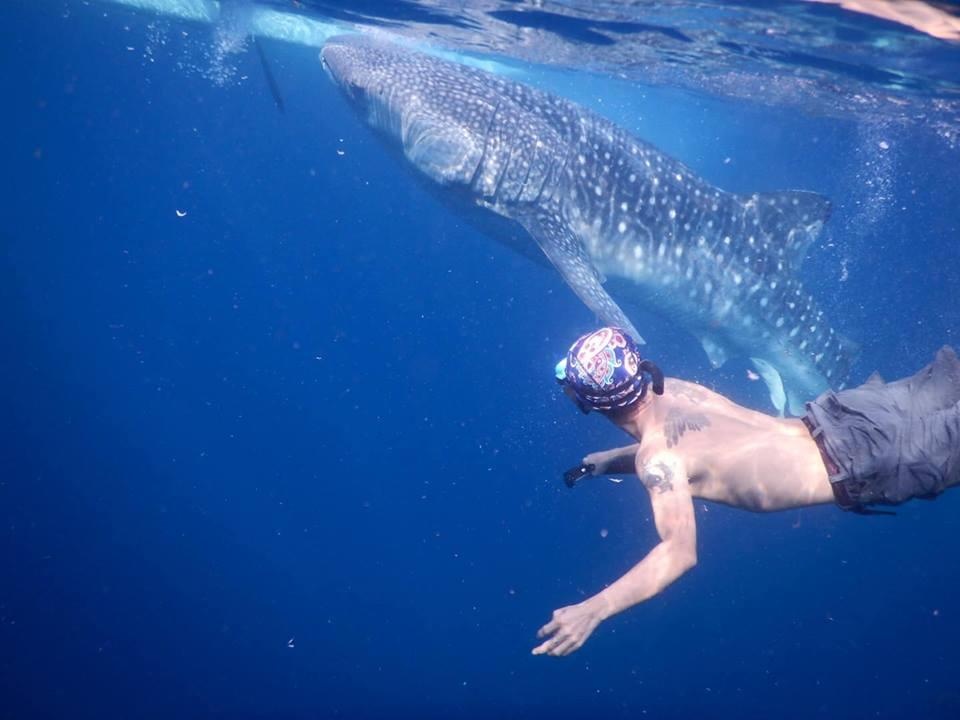 Du lich Philippines anh 6