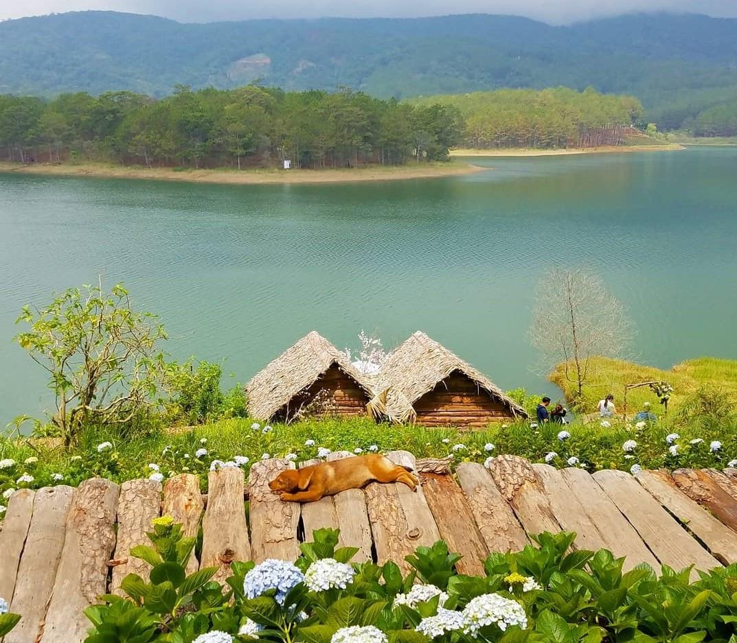 Du lịch Đà Lạt ảnh 1 Du lich Da Lat anh 1