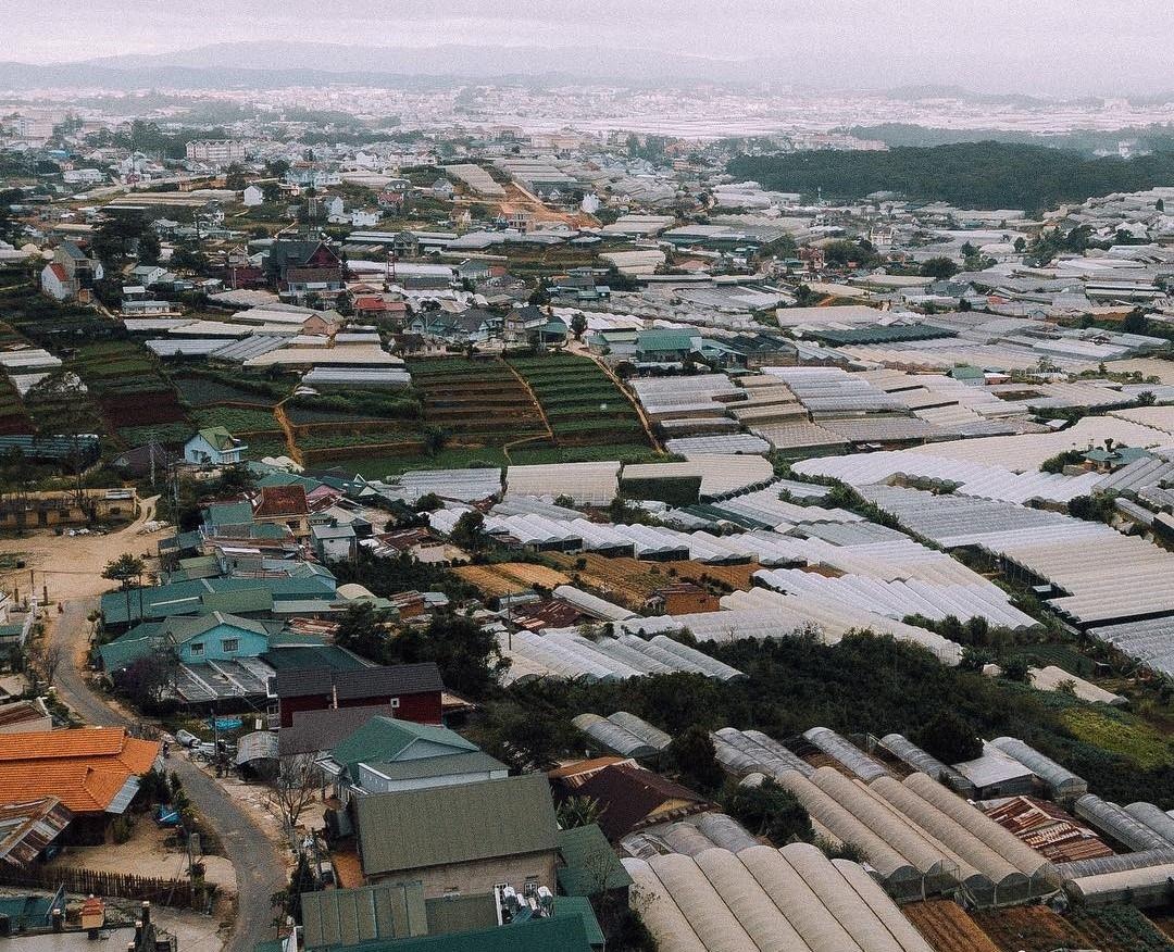 Du lịch Đà Lạt ảnh 3 Du lich Da Lat anh 3