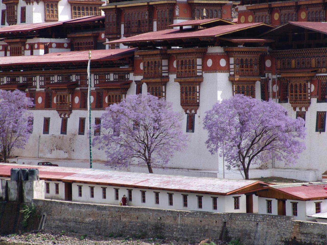 Du lich Bhutan anh 8